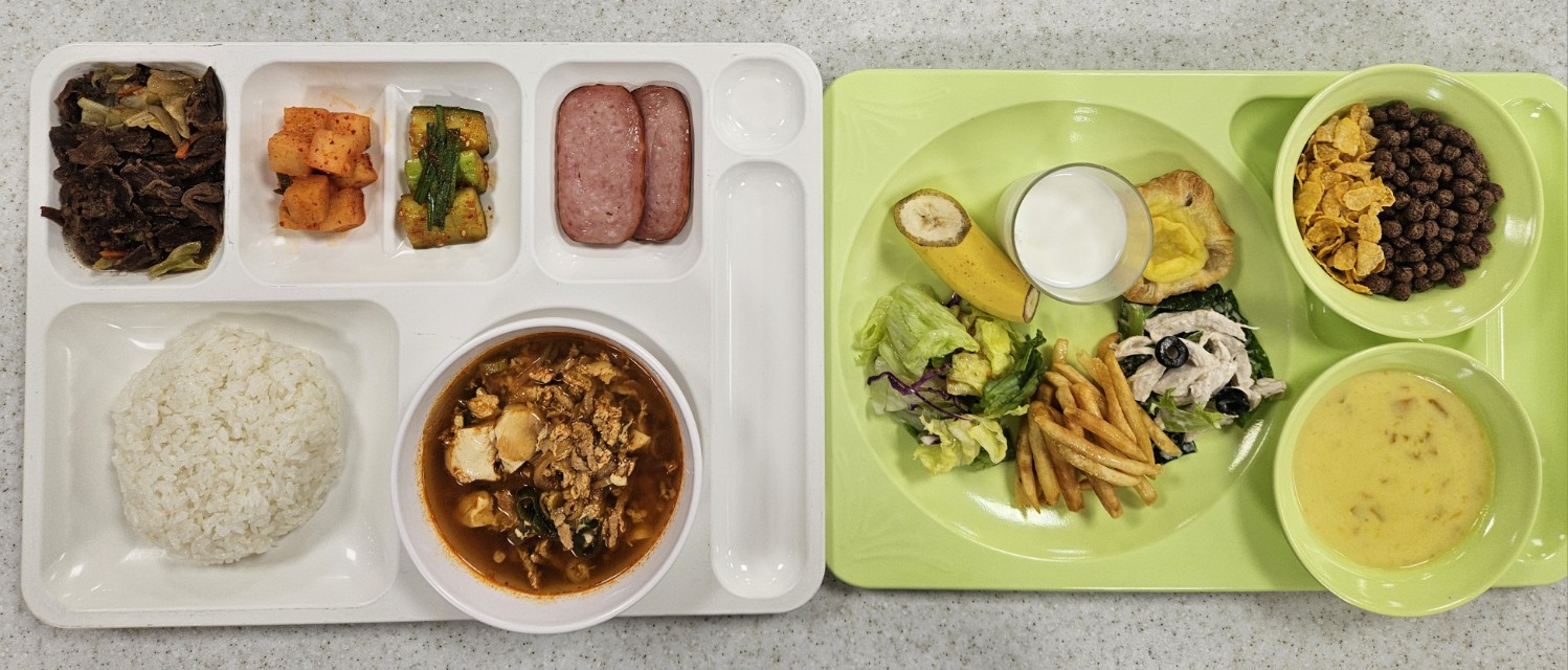 ���Ļ���