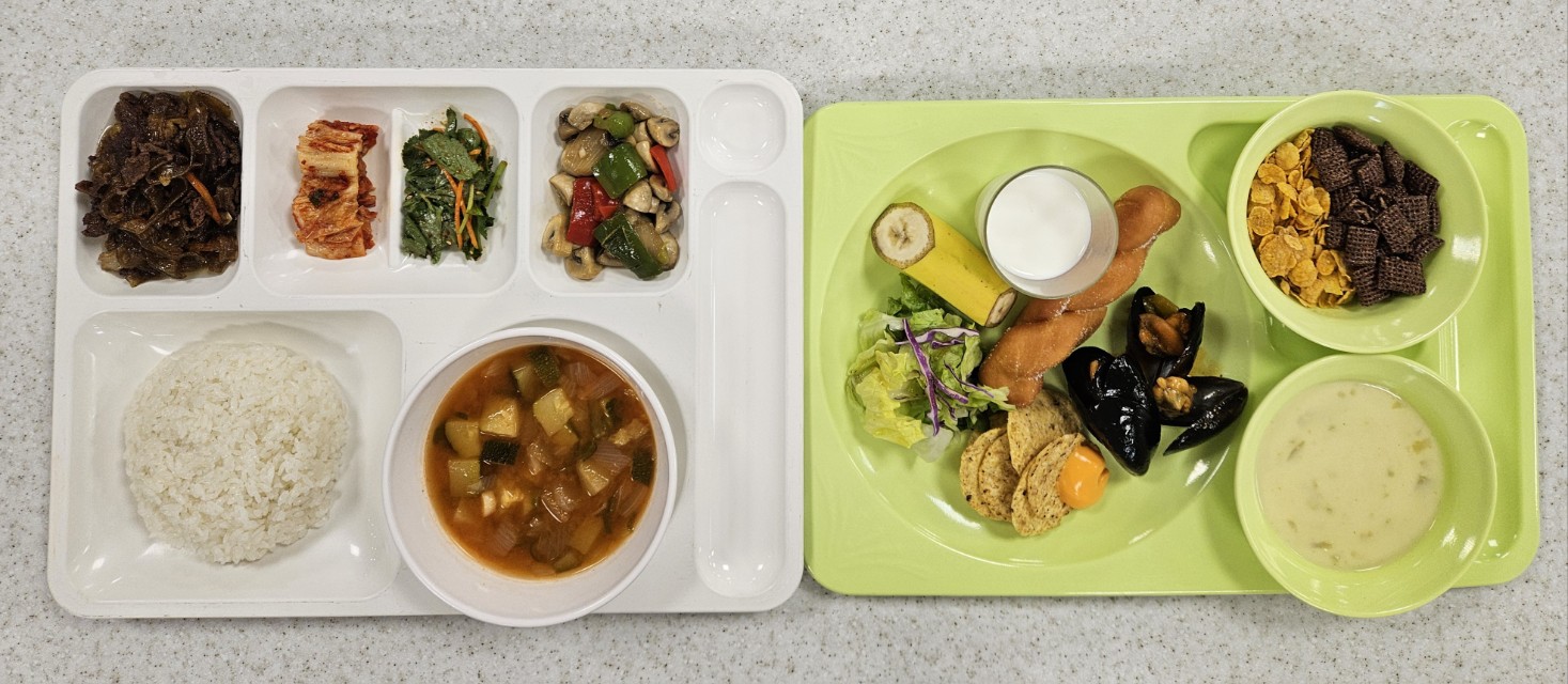 ���Ļ���