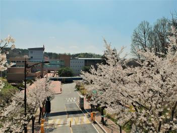 ���οܴ�ΰ� ÷���̹���