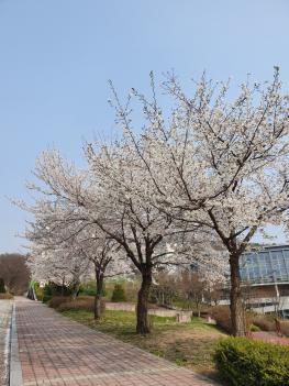 ���οܴ�ΰ� ÷���̹���