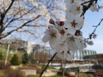 ���οܴ�ΰ� ÷���̹���