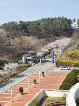 ���οܴ�ΰ� ÷���̹���