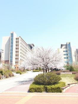 ���οܴ�ΰ� ÷���̹���