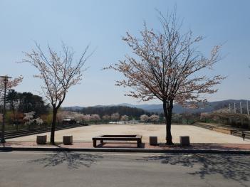 ���οܴ�ΰ� ÷���̹���