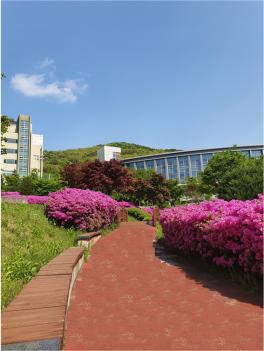 �����ѱ��ܱ�����б��μ������б� ÷���̹���