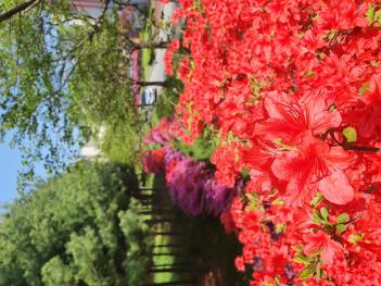 ���οܴ�ΰ� ÷���̹���