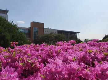 ���οܴ�ΰ� ÷���̹���