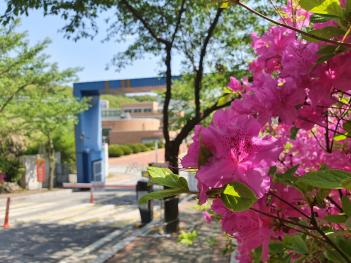 ���οܴ�ΰ� ÷���̹���