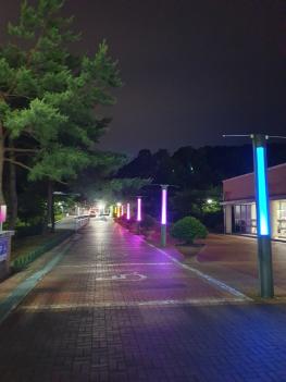 �ܴ�ΰ� ÷���̹���