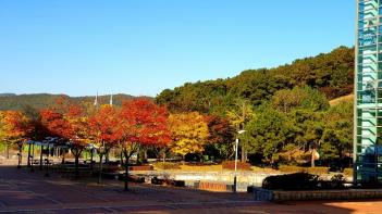 hafs�� ���� ÷���̹���