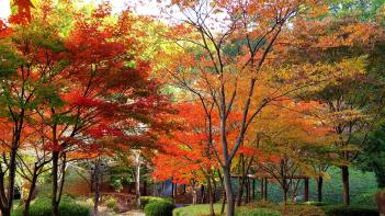 hafs�� ���� ÷���̹���