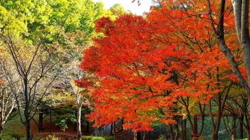 hafs�� ���� ÷���̹���