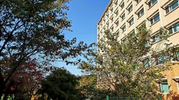 hafs�� ���� ÷���̹���