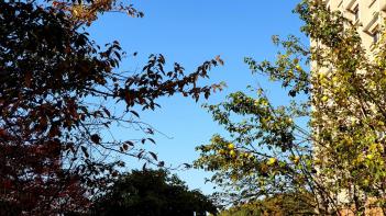 hafs�� ���� ÷���̹���