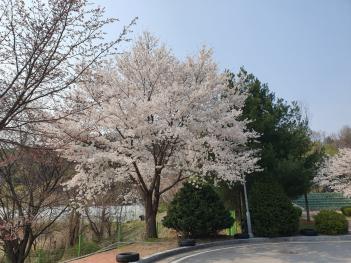 ���οܴ�ΰ� ÷���̹���