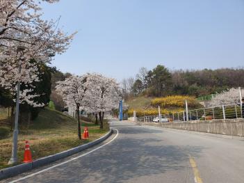 ���οܴ�ΰ� ÷���̹���