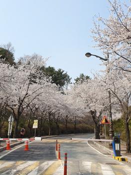 ���οܴ�ΰ� ÷���̹���